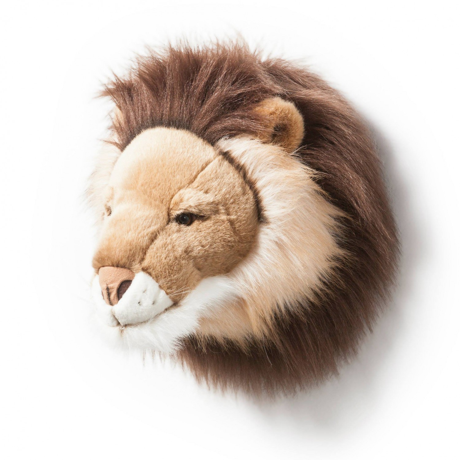 Wild & Soft | leeuw
