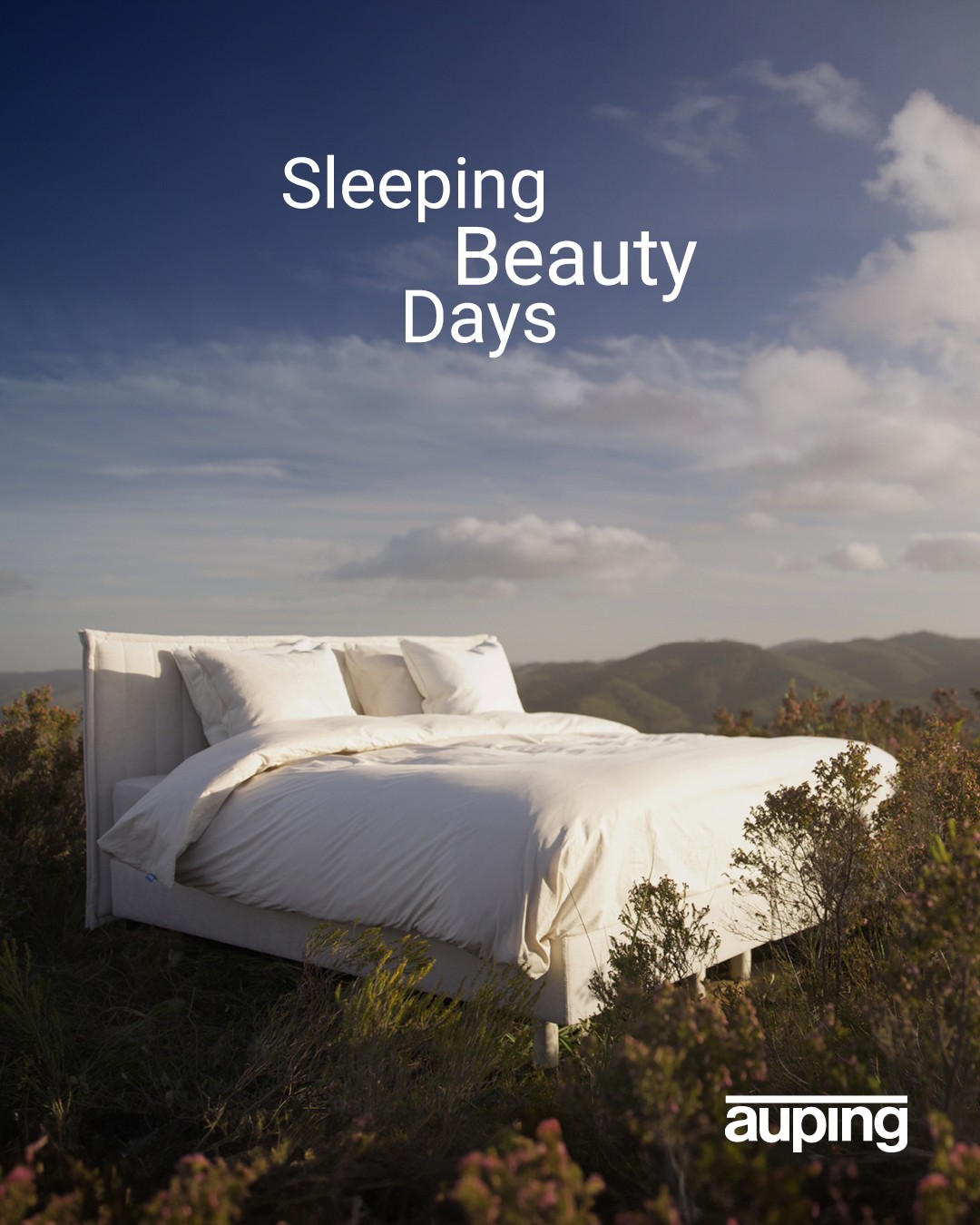 Auping Sleeping Beauty Days Auping Sleeping Beauty Days