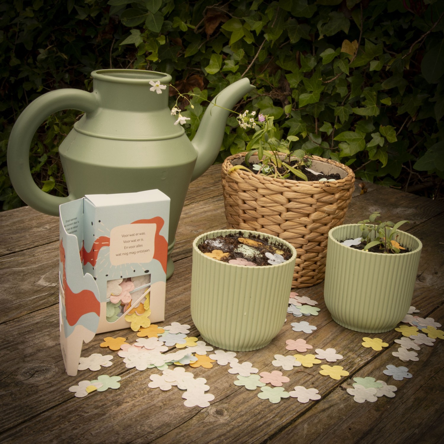Growfetti | Kleurrijke bloemenconfetti