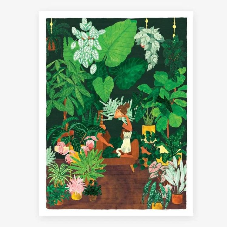 All the ways to say Poster - Plant addict lady All the ways to say Poster - Plant addict lady