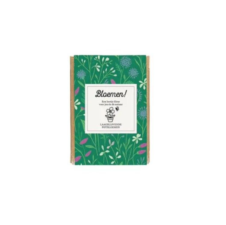 Blossombs Geschenkdoosje mini - Bloemen! Een beetje kleur voor jou en de natuur