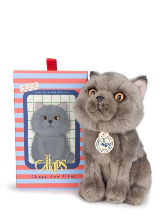 B.T. Chaps Knuffel - Freddy the british shorthair floppy in giftbox