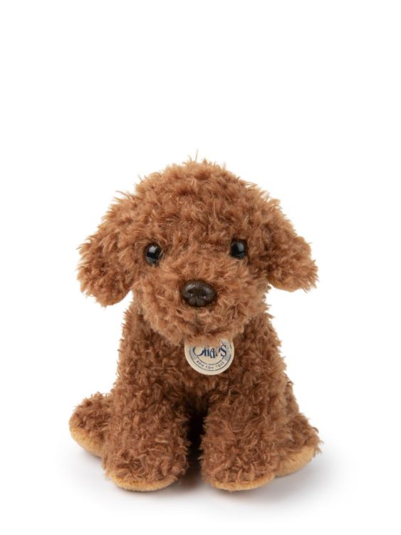 B.T. Chaps Knuffel - Stacy the Labradoodle in giftbox