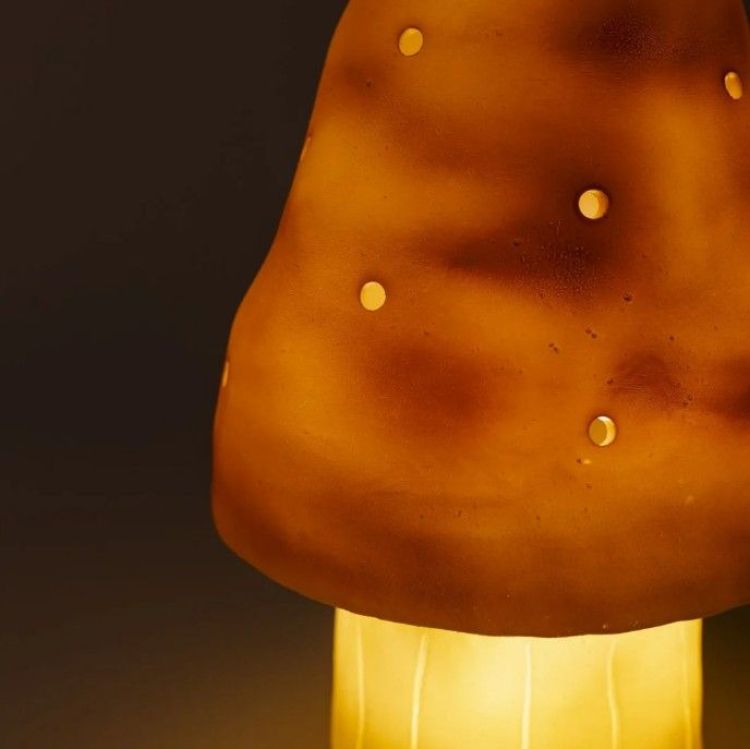 Egmont toys Lamp - Mushroom small - Terra