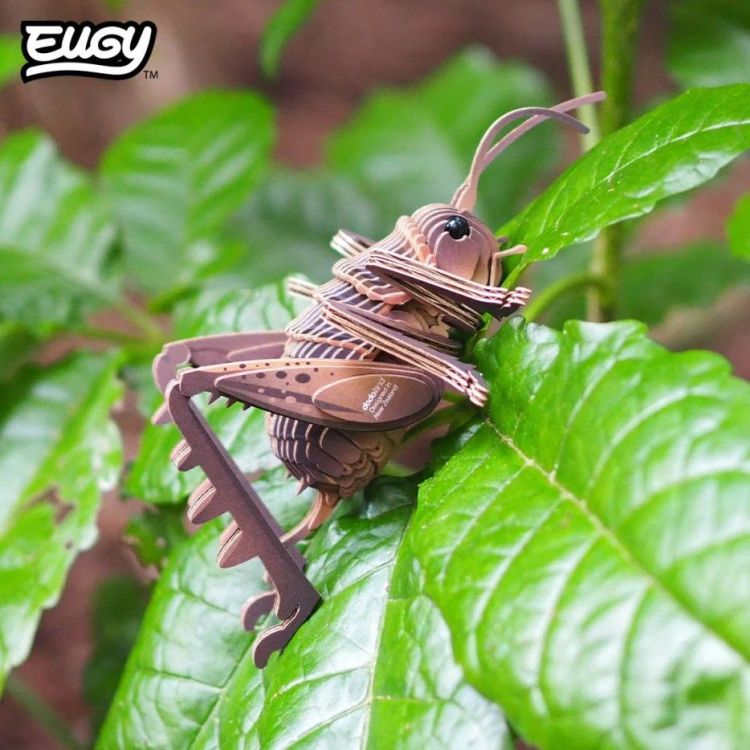 Eugy 3D knutselpakket - 119 - Giant Weta