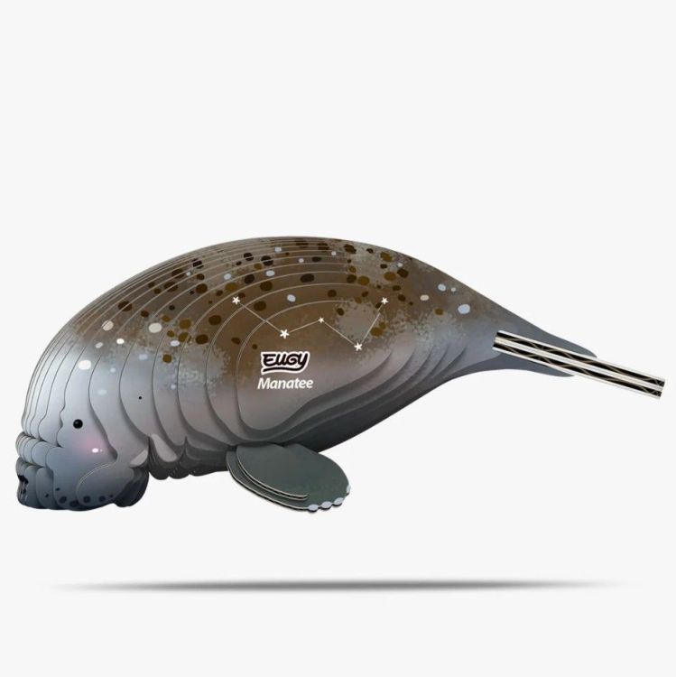 Eugy 3D knutselpakket - 122 - Manatee Eugy 3D knutselpakket - 122 - Manatee