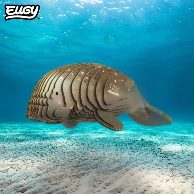 Eugy 3D knutselpakket - 122 - Manatee