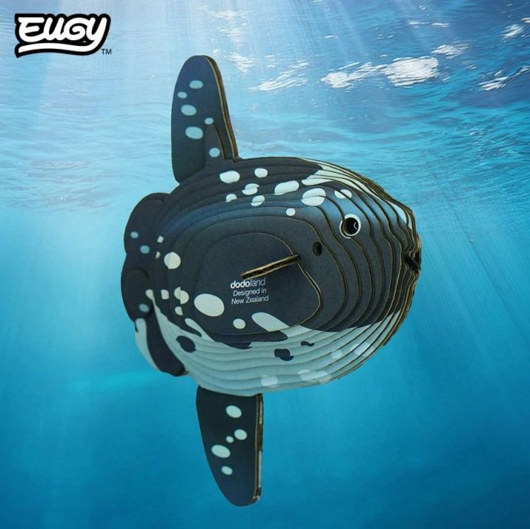 Eugy 3D knutselpakket - 132 - Ocean Sunfish