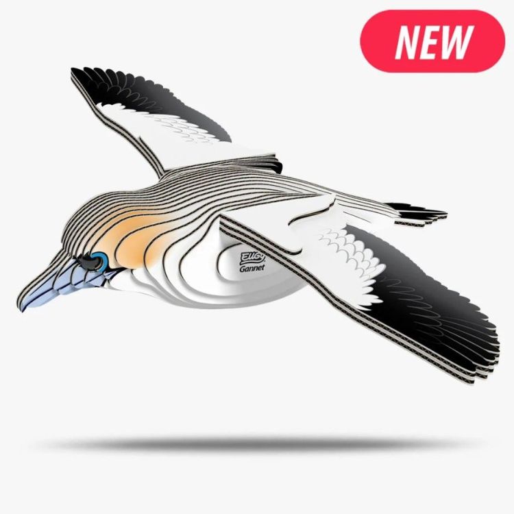 Eugy 3D knutselpakket - 146 - Gannet Eugy 3D knutselpakket - 146 - Gannet