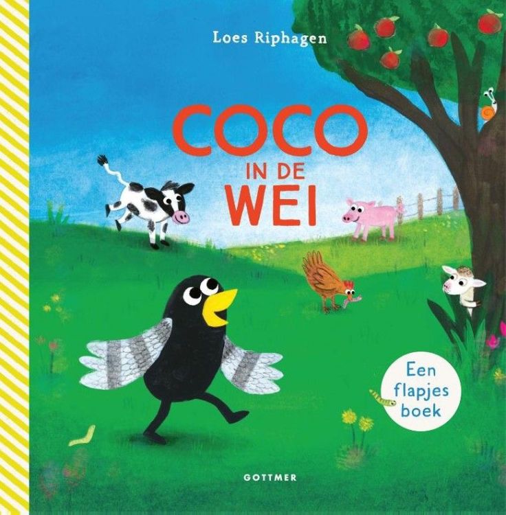 GOTTMER Coco in de wei - Loes Riphagen