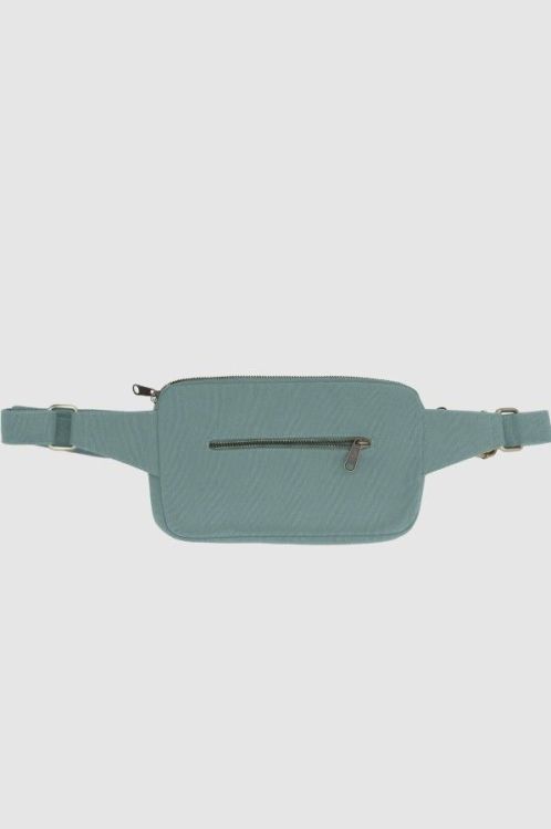 Hindbag Heuptas - Harry Sauge