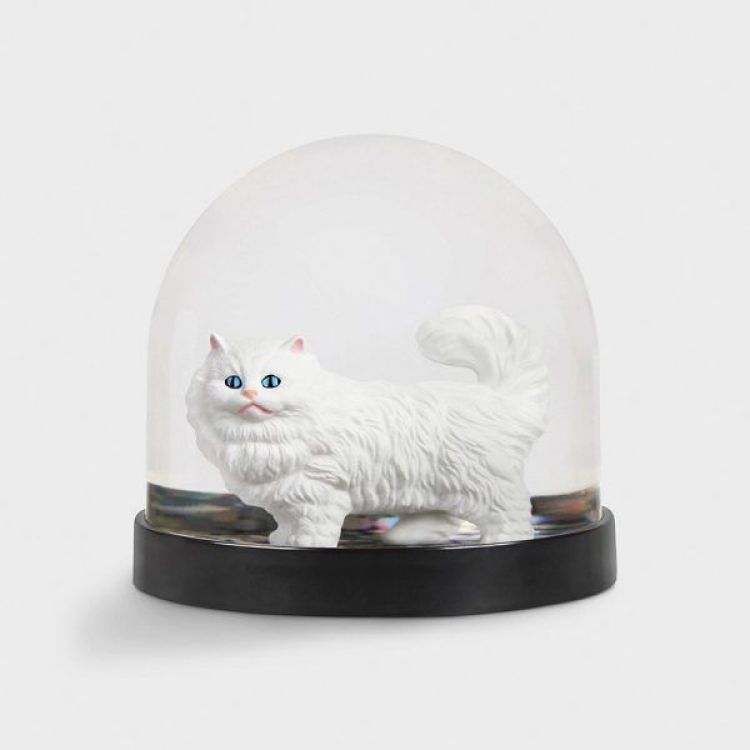 &K Amsterdam Wonderball cat