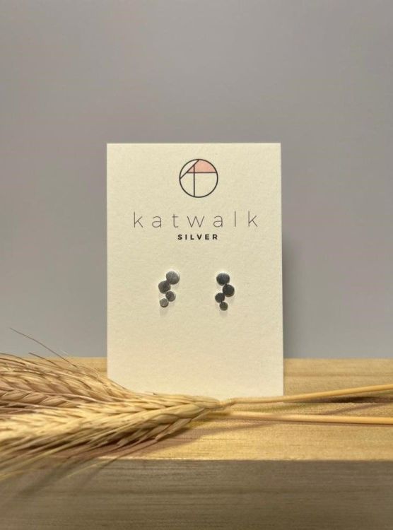 Katwalk Oorbellen Trosje cirkels - zilver