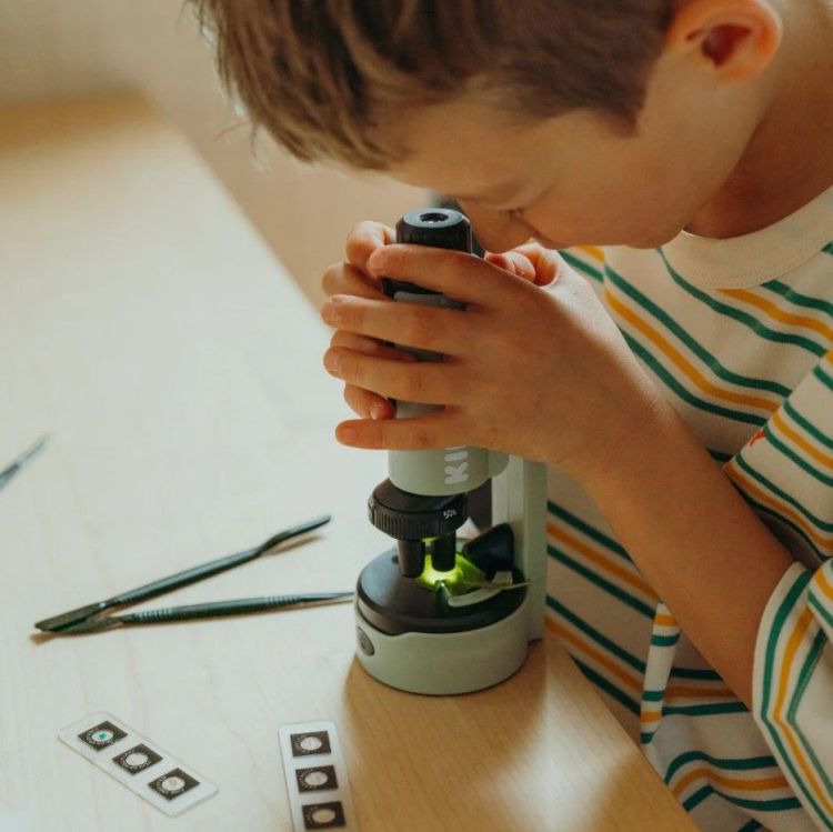 Kidywolf Kidymicroscope - Groen