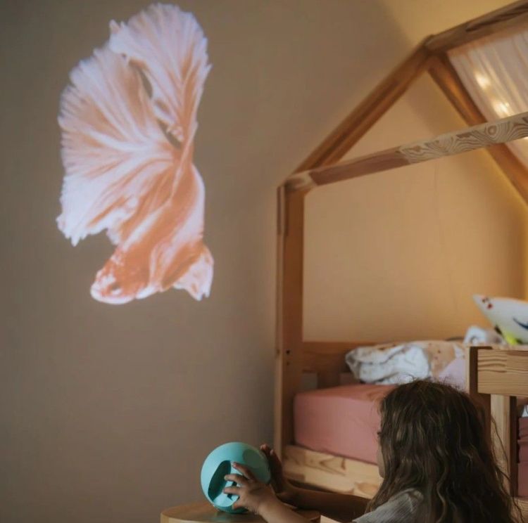 Kidywolf Kidystar - Projector - Groen