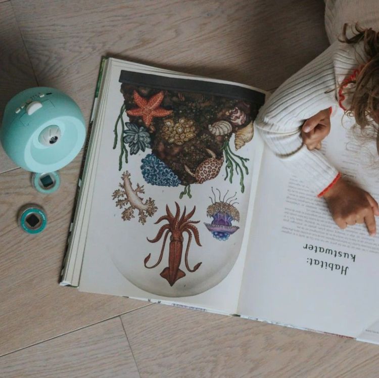 Kidywolf Kidystar - Projector - Groen