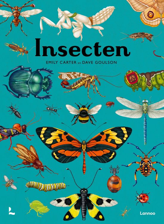 Lannoo Insecten - Dave Goulson & Emily Carter