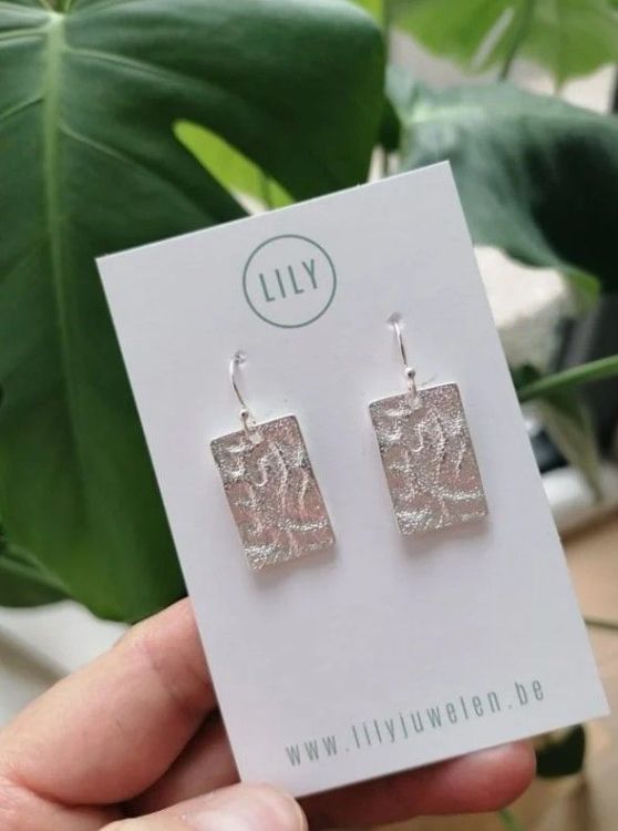 Lily Oorbellen - Flow (zilver)