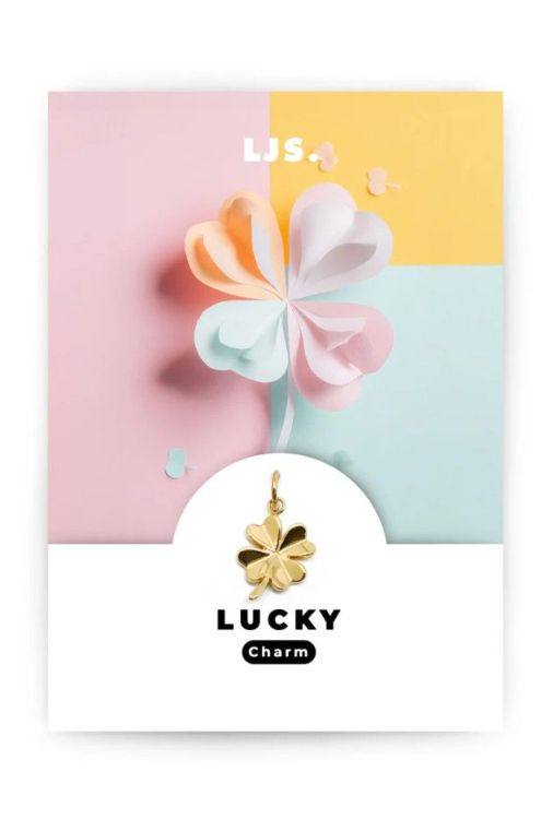 LJS Jewellery Charm - Lucky - Goud