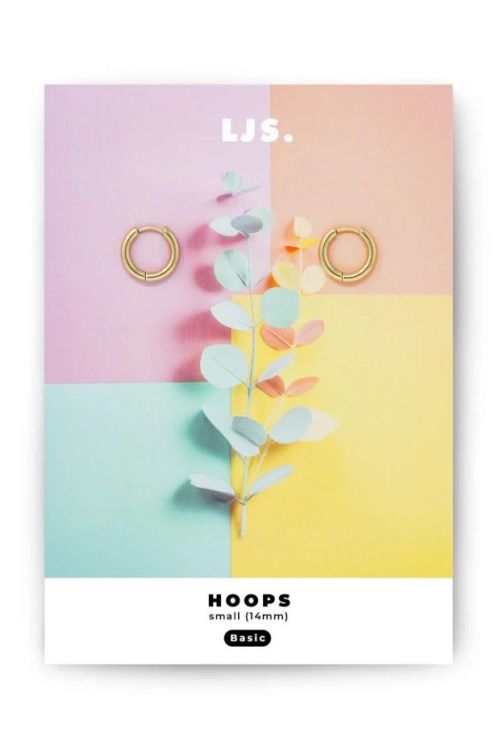LJS Jewellery Oorbellen - Hoops - Goud - small