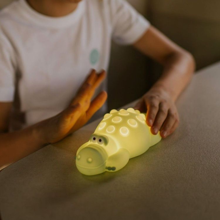 Mary s Nachtlampje LED - POP IT Krokodil