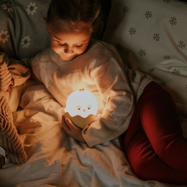 Mary s Nachtlampje LED - sleepy chick