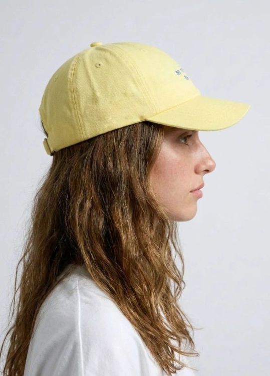 NBDC Pet - No Risk No Story Yellow/blue - onesize