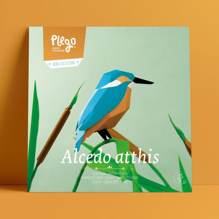 Plego Papieren figuur 3D - Alcedo Atthis / Ijsvogel