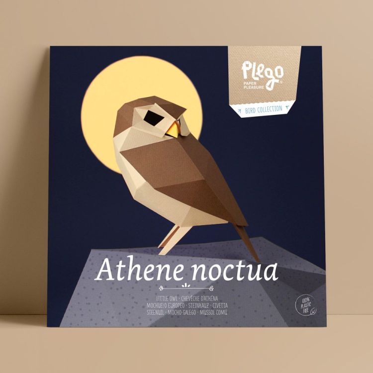 Plego Papieren figuur 3D - Athene Noctua / Steenuil