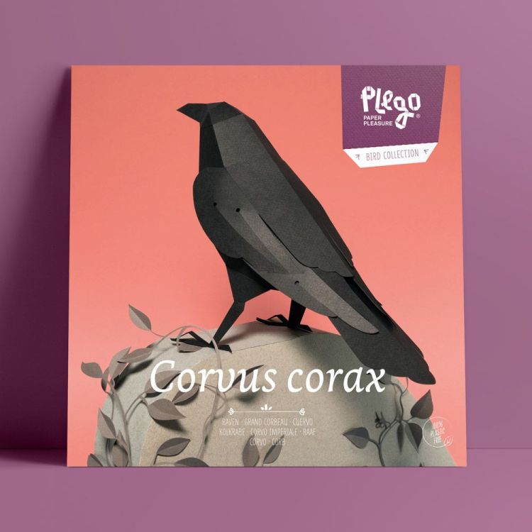 Plego Papieren figuur 3D - Corvus Corax / Raaf