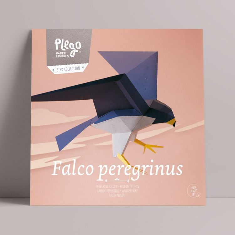 Plego Papieren figuur 3D - Falco Peregrinus / Slechtvalk