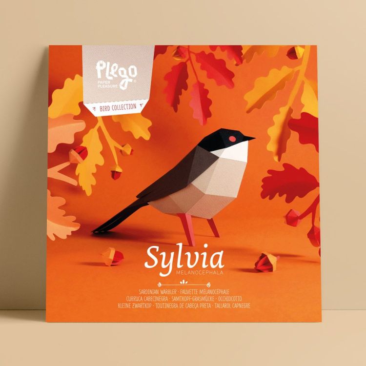 Plego Papieren figuur 3D - Sylvia / Kleine zwartkop