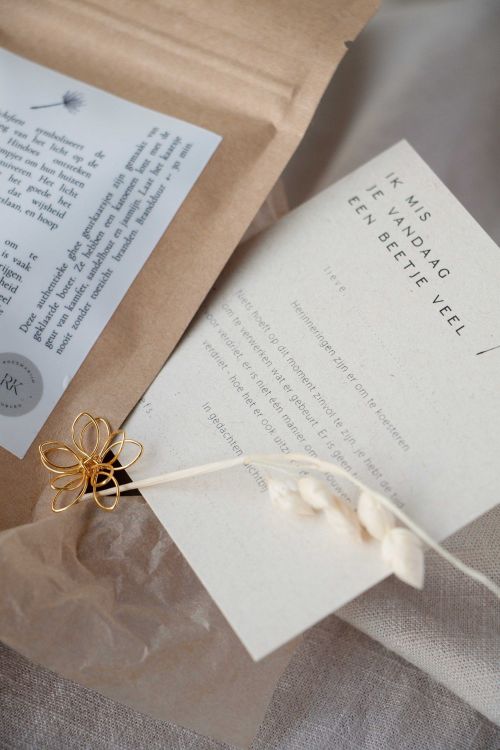 Roosmarijn Knijnenburg Een doosje troost