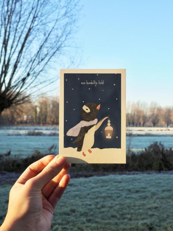 Studio Bertha Postkaart - Een bundeltje licht