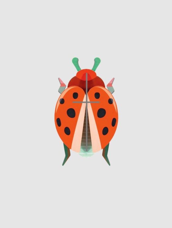 Studio Roof Wall art - Coccinelle Rouge Studio Roof Wall art - Coccinelle Rouge