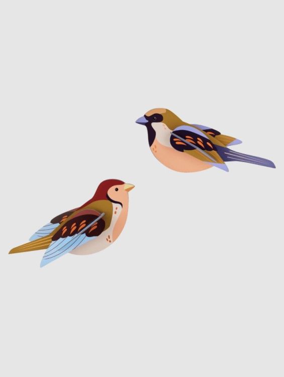 Studio Roof Wall art - Mussen paar