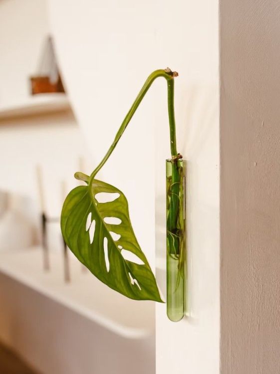 Walleaf Muurdecoratie - Groen standaard - 1-pack