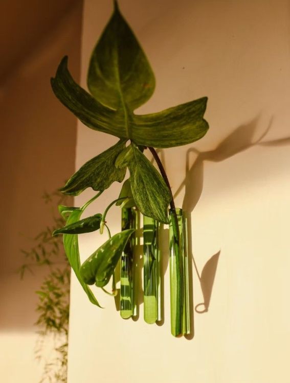 Walleaf Muurdecoratie - Groen standaard - 3-pack