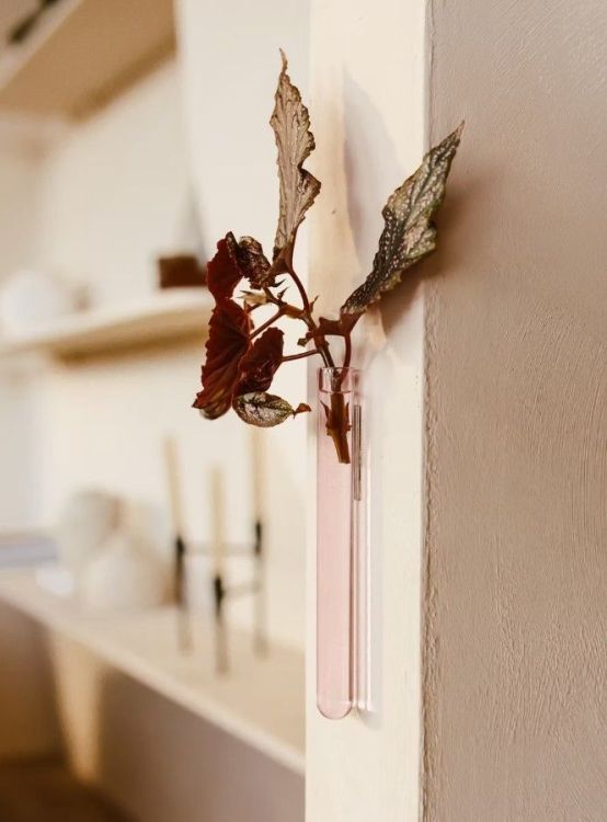 Walleaf Muurdecoratie - Roze standaard - 1-pack