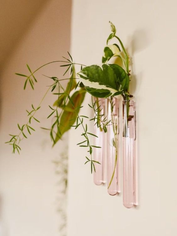 Walleaf Muurdecoratie - Roze standaard - 3-pack