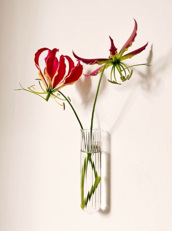 Walleaf Muurdecoratie - Transparant Ribbed - 1-pack