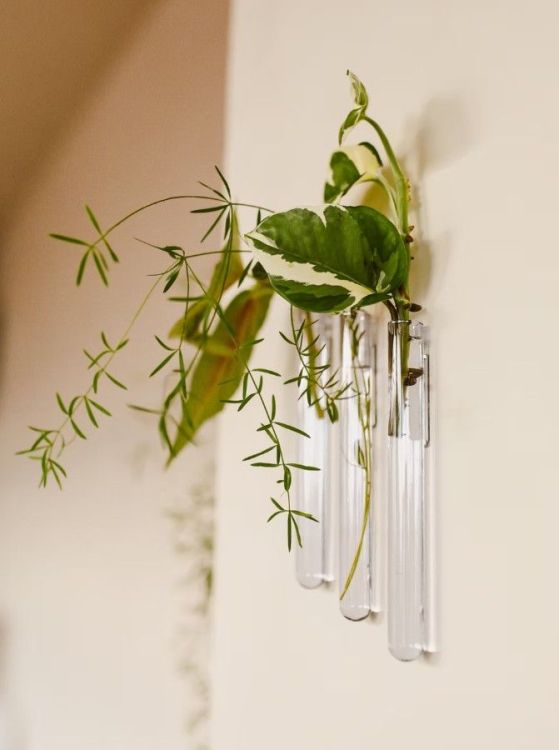 Walleaf Muurdecoratie - Transparant standaard - 3-pack