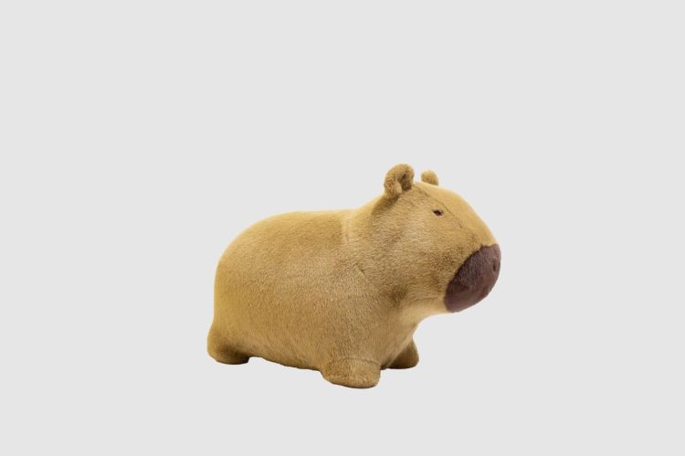 Wild and Soft Soft bouncy - Capybara