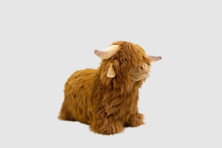 Wild and Soft Soft bouncy - Highland cow