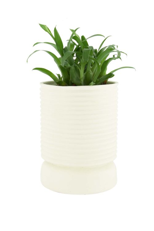 Zusss Polystone pot met ribbels - Off white